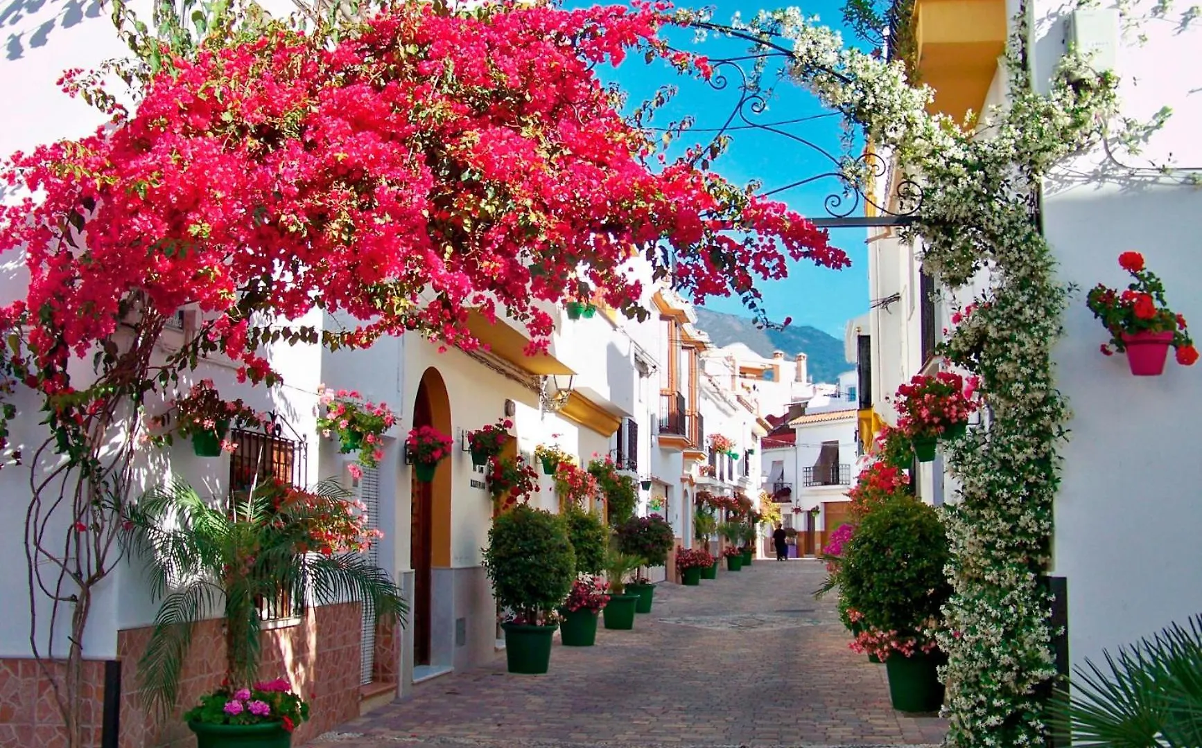 Spacious Apartment With Terrace And Garden Close To The Sea Estepona 0*,